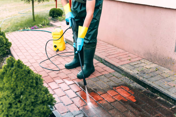 Animal Enclosure Cleaning in Toquerville, UT